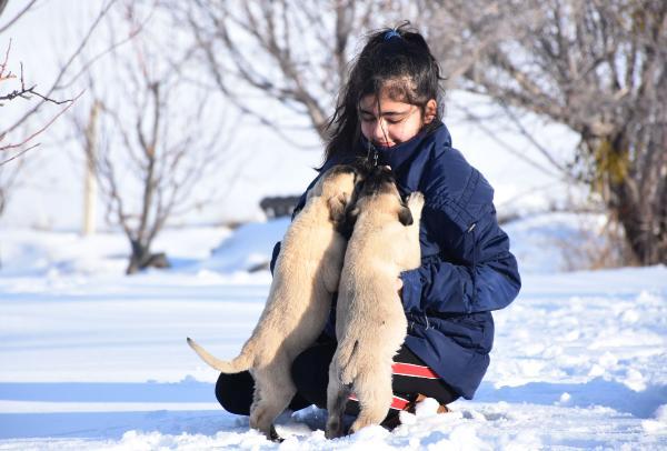 12-yasindaki-naz-kangal-kopekleriyle-buyuyor-v2hEA6J2.jpg