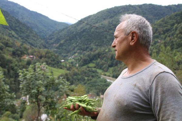 ambassador-who-couldnt-go-to-myanmar-does-gardening-DBcg4v3x.jpg