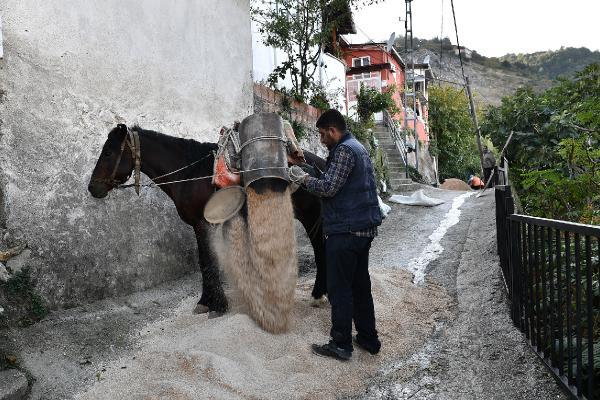 belediye-dar-ve-dik-sokaklara-at-ile-malzeme-tasiyor-A9l6wQg2.jpg