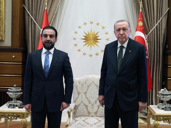 cumhurbaskani-erdogan-irak-takaddum-partisi-genel-sekreteri-hablusiyi-kabul-etti-fEF5Fx8g.jpg