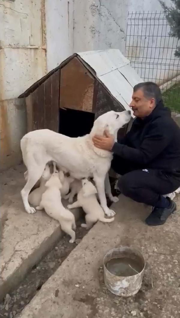 bakan-kocanin-kopeginin-videosu-71-milyon-izlendi-e8ULkOxf.jpg